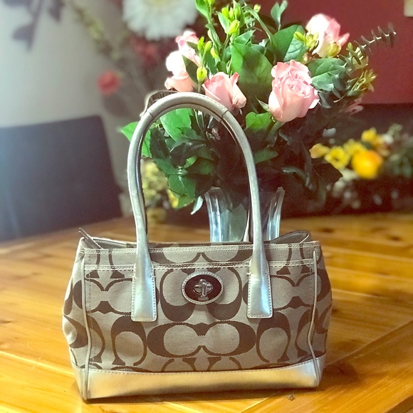 🎉SALE!!! Authentic COACH Purse - Picture 1 of 1